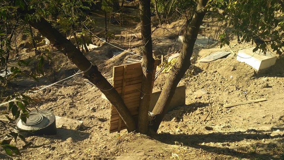 Из-за ремонта лестницы на Пейзажной аллее уничтожили десятки деревьев (фото)