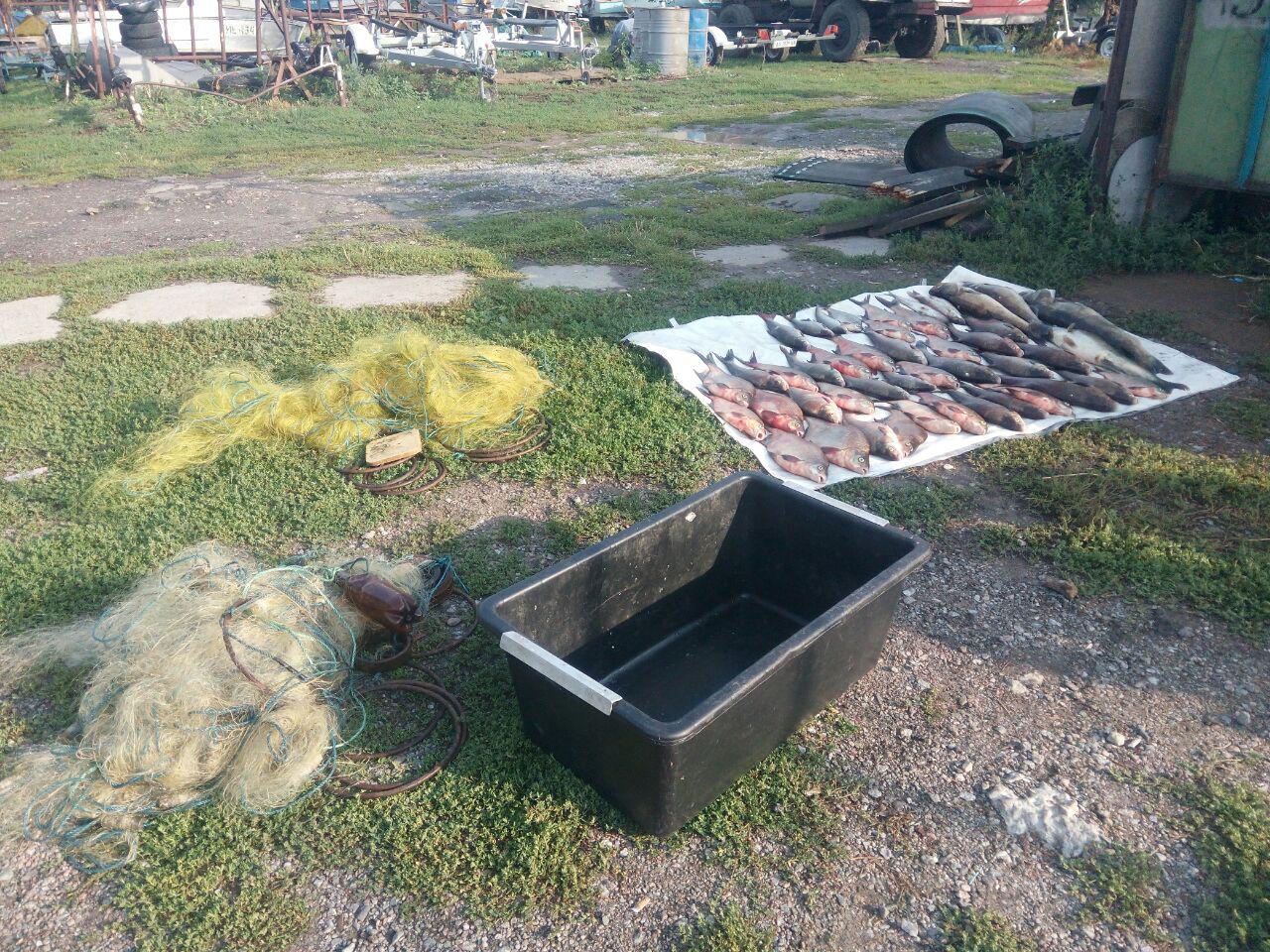 На Днепре в Киеве браконьер “натаскал” рыбы на 10 тыс. грн (фото)