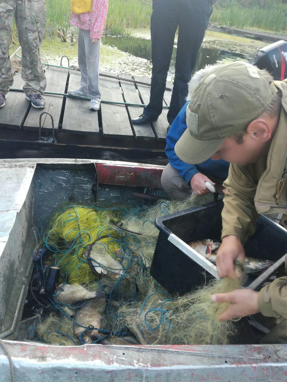 На Днепре в Киеве браконьер “натаскал” рыбы на 10 тыс. грн (фото)