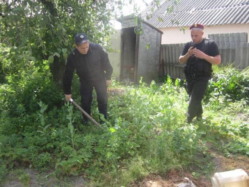 Полиция ликвидировала наркоплантацию на Киевщине (фото)