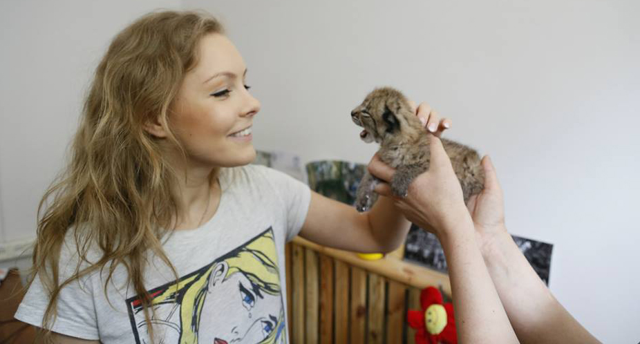 Алена Шоптенко хочет стать опекуном рыси shoptenkorys0100