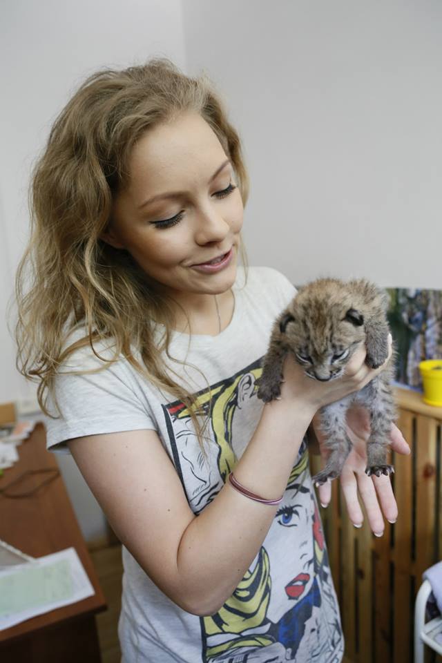 Алена Шоптенко хочет стать опекуном рыси shoptenkorys2