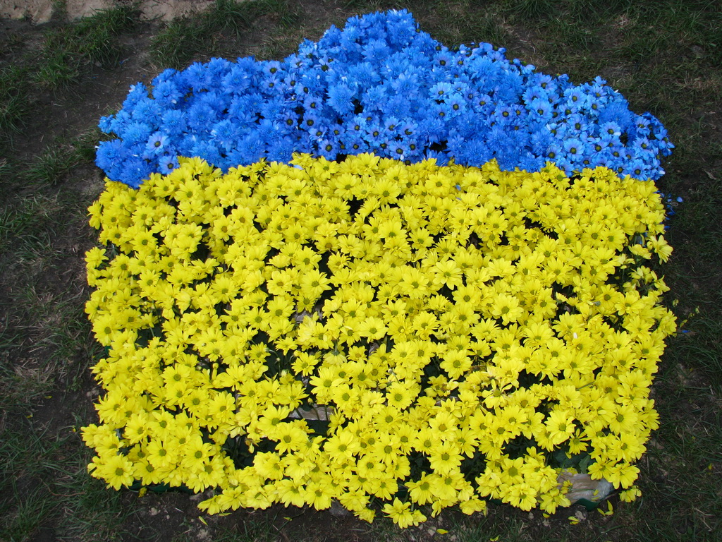 “Киевзеленстрой” “высадит” из цветов самый большой государственный флаг Украины