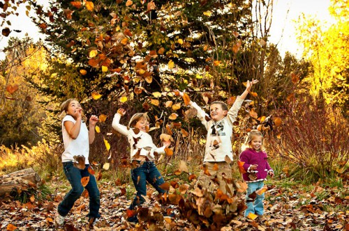 Осенние каникулы в школах продлятся с 27 октября по 10 ноября