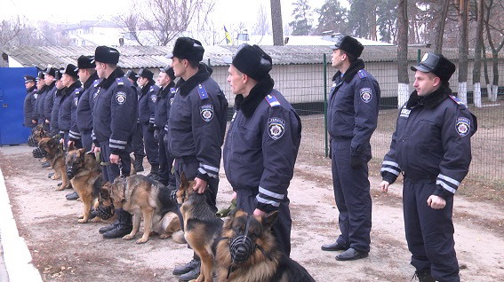 В столичной подземке теперь будут дежурить служебные собаки