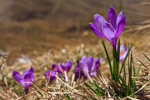 Погода в Киеве и Киевской области (27 марта)