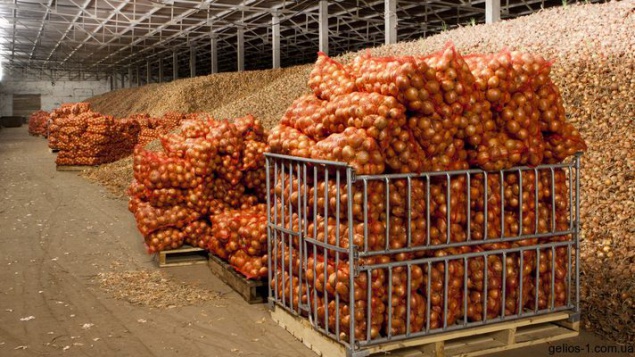 Экспорт сельхозпродукции Киевщины уменьшился на 30,5%