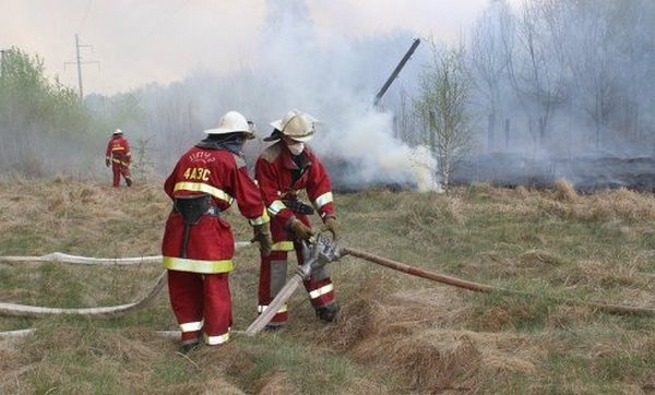 Очагов открытого огня под Чернобылем нет, радиационный фон в норме - ГоСЧС