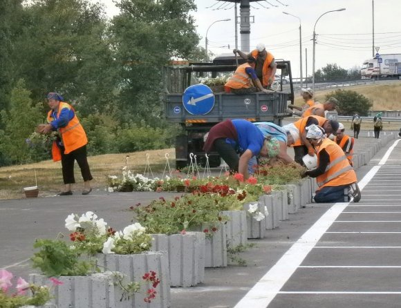 “Киевзеленстрой” накупил саженцев на 5 млн гривен