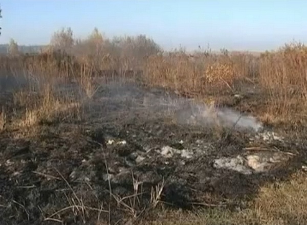 Под Киевом остался только один очаг тлеющего торфяника