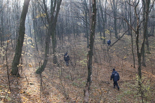 У влиятельного коммуниста забрали 14 га земли в Буче под Киевом