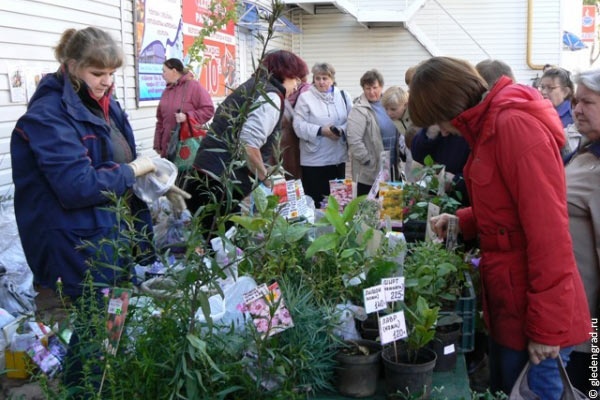 В Киеве состоится ярмарка для садоводов и огородников