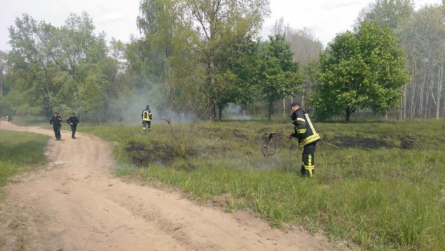 В парке Дружбы народов в Киеве отдыхающие оставили после себя пожар (фото)