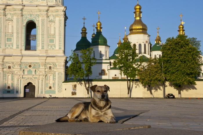 Погода в Киеве и Киевской области: 26 марта 2017