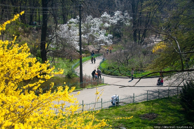 Киевлянка разбила губу грабителю, напавшему на нее в ботсаду (фото)