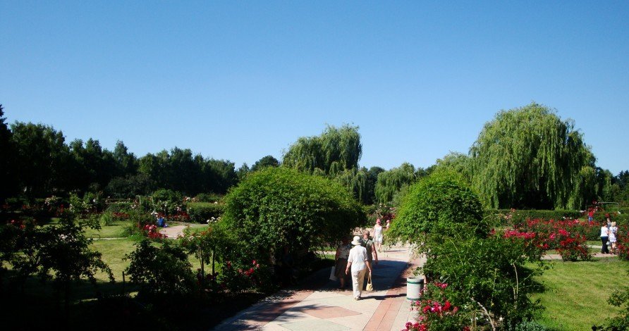 Национальный ботанический сад затопили нечистотами