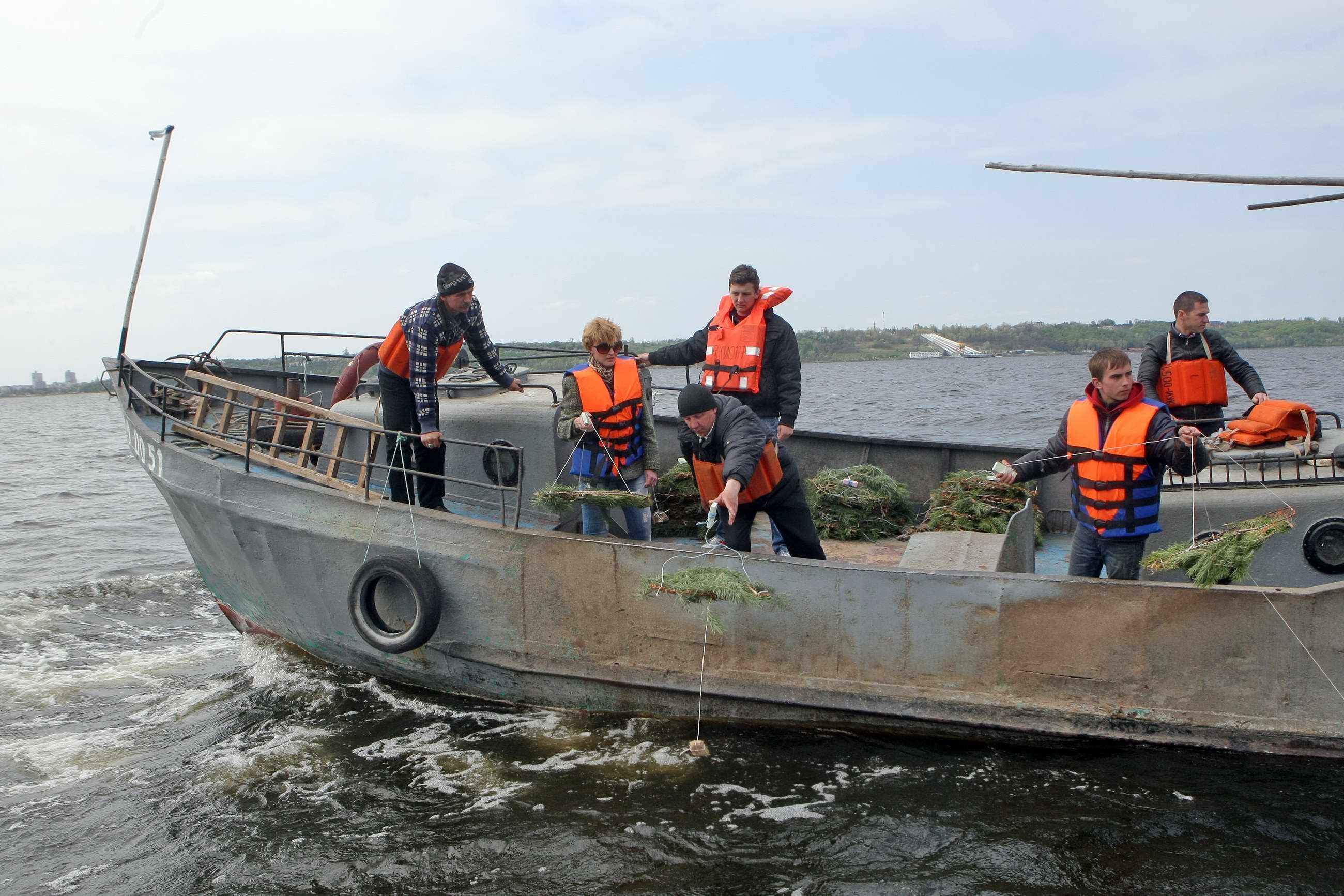 В Киевском водохранилище появились 2,5 тыс. искусственных нерестовых гнезд