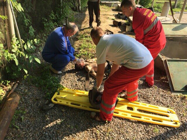 В Белой Церкви на Киевщине произошел взрыв, есть жертвы