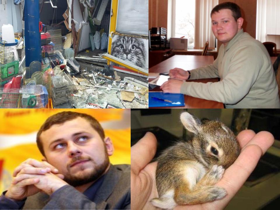 За бюджетные деньги в Киеве убили хомячков, кроликов и шиншил