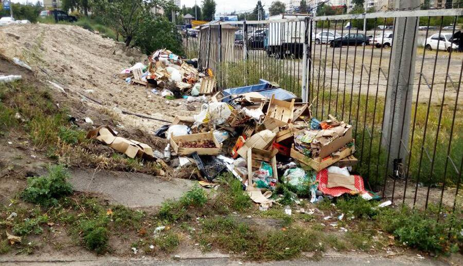 Возле столичного рынка ликвидировали стихийную свалку (фото)