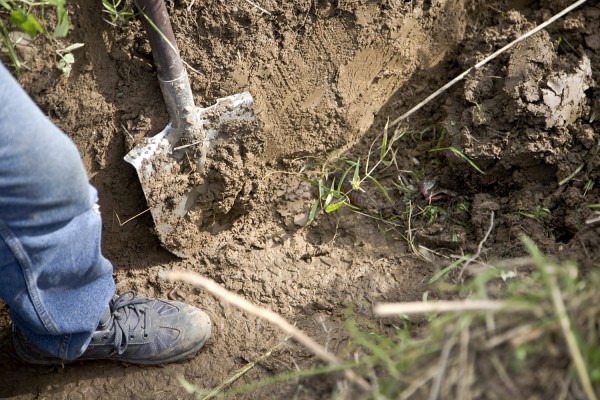 В Таращанском районе мужчина закопал тело убитого односельчанина в собственном дворе (фото)