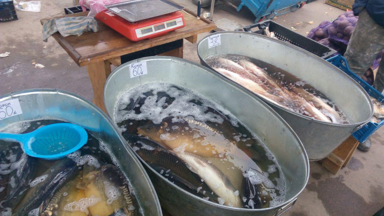 Киевский рыбоохранный патруль обнаружил почти 300 кг рыбы “без документов”
