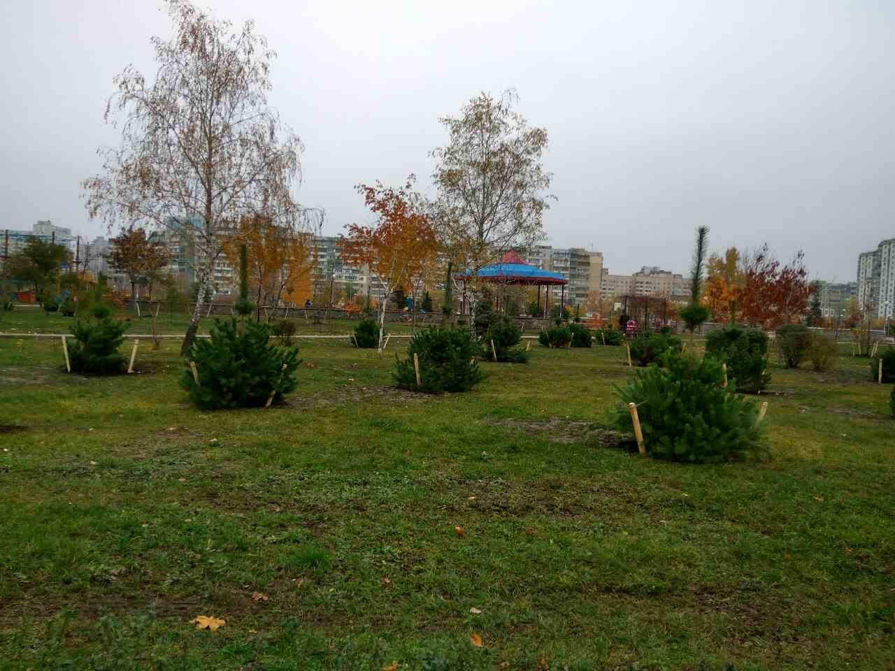 Парк Молодежный в Киеве пополнился 168 деревьями и более 2 тысячами кустов (фото)