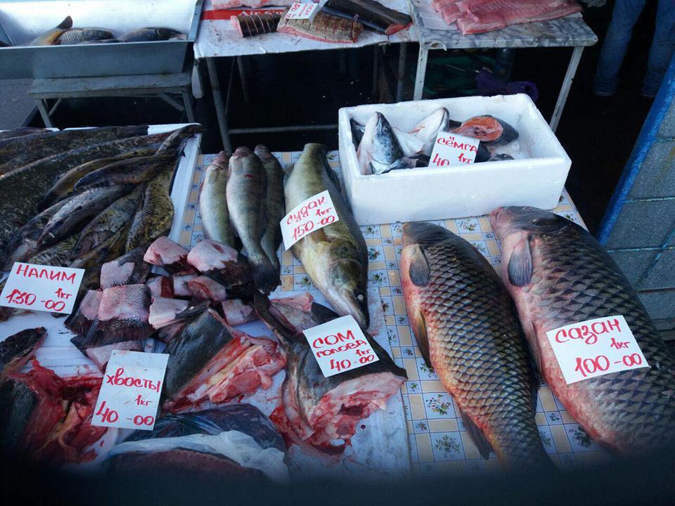 В Киеве на рынке продавали рыбу, занесенную в Красную книгу Украины (фото)