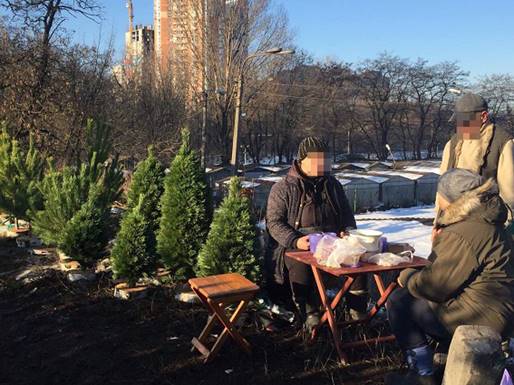 Незаконная торговля елками в Киеве пресечена полицией