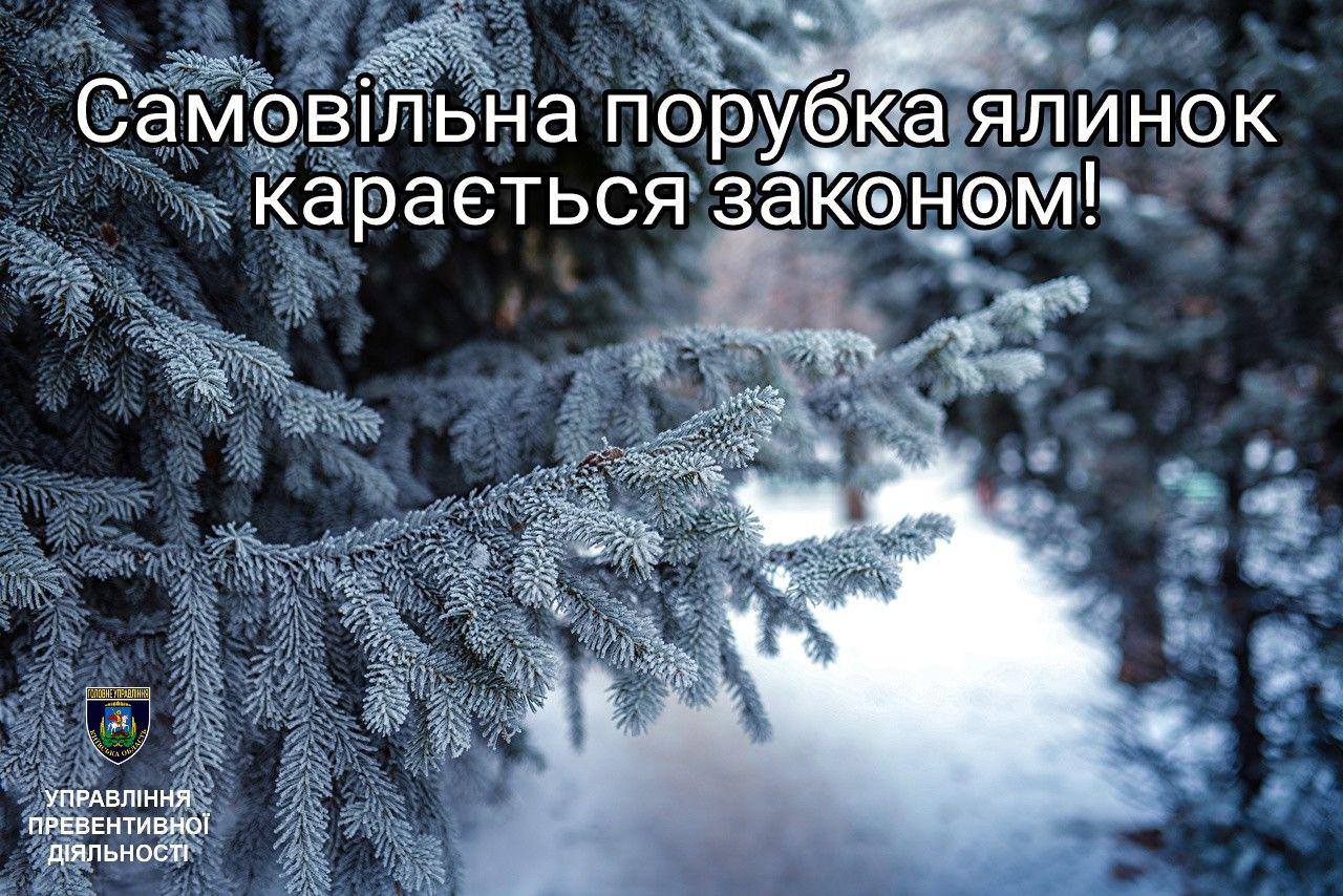 На Киевщине полиция начала операцию “Новогодняя елка”