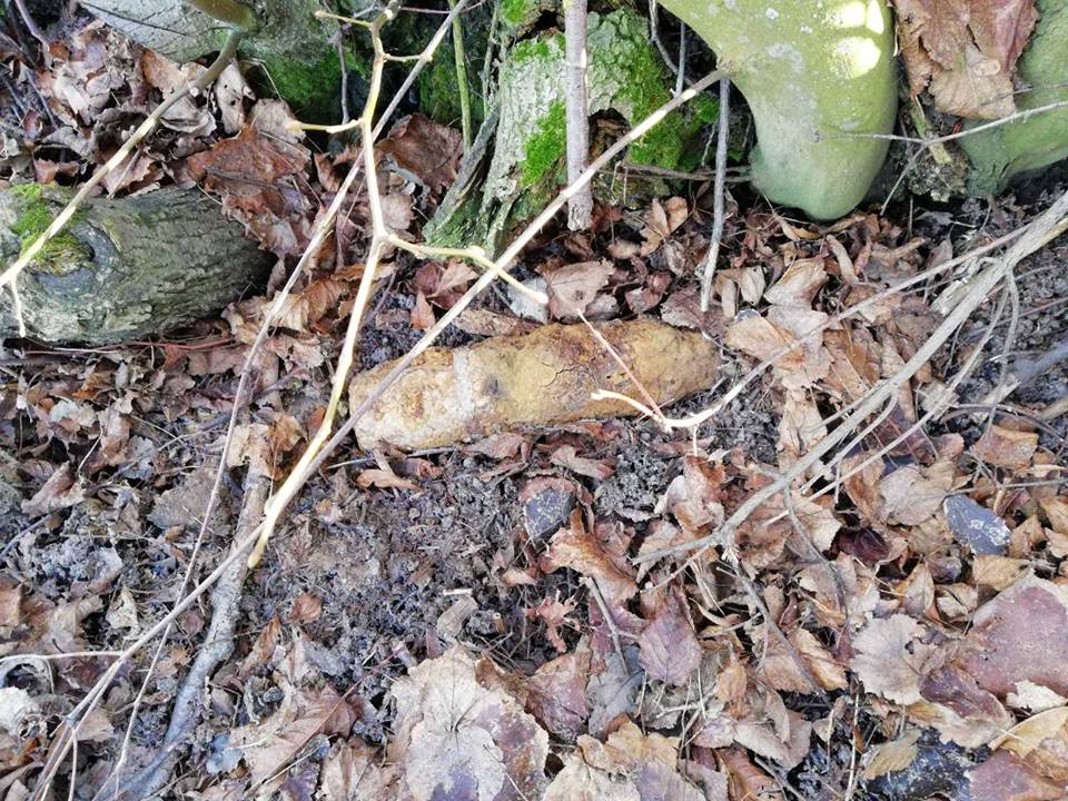 На Киевщине местный житель у себя в огороде нашел снаряд