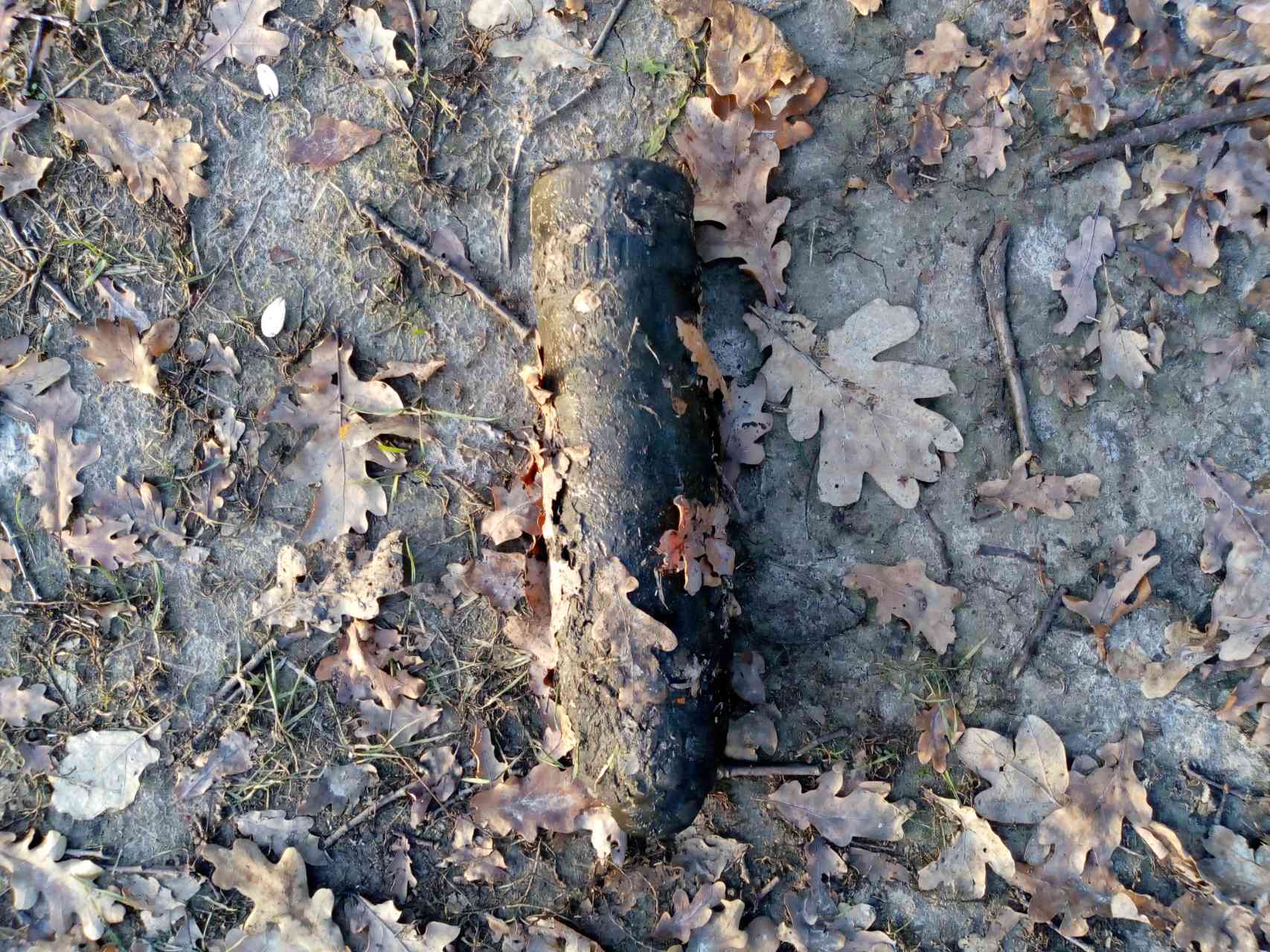 На Киевщине дети у пруда нашли старый артиллерийский снаряд (фото)