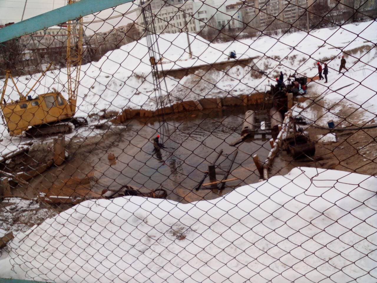 В озере на киевских Позняках задыхается рыба (фото, видео)