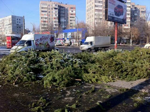 В Киеве ликвидируют “елочные кладбища” (видео)