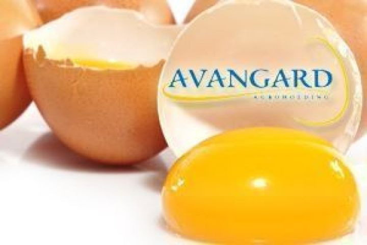AVANGARDCO IPL получил разрешение на экспорт яиц в Европейский Союз