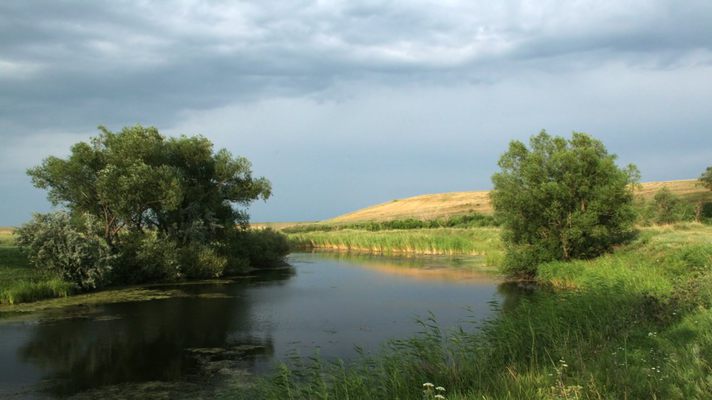 Прокуратура Киевщины требует вернуть земли водного фонда