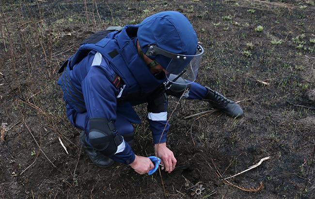 В киевском лесу обнаружен снаряд времен Второй мировой войны