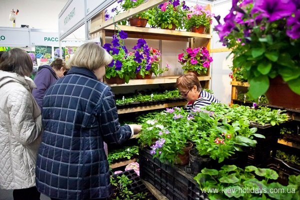 В субботу в Киеве состоится ярмарка садоводов и огородников