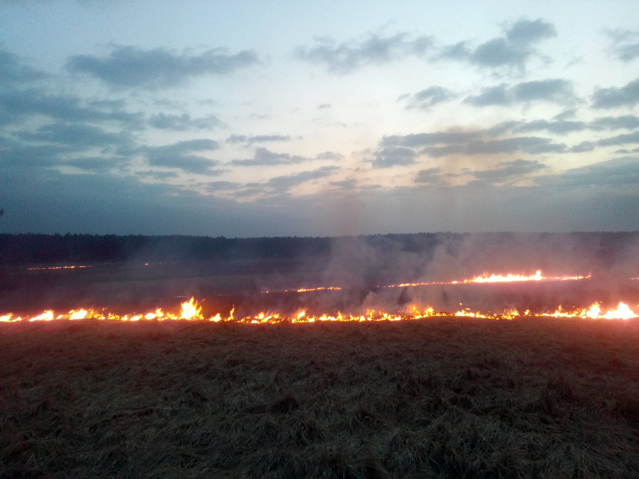 На Киевщине горит трава: спасатели просят соблюдать правила безопасности