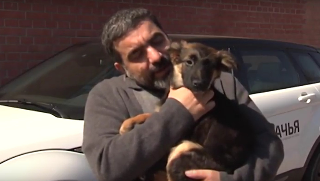 В Киеве появилась “Бесплатная собачья помощь” (видео)