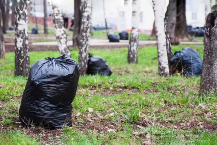 В Броварах власти объявили весенний двухмесячник благоустройства