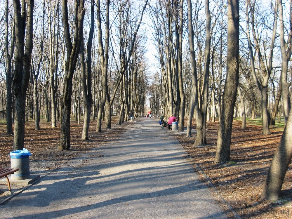 Полиция проверит, как КО “Киевзеленстрой” потратило 5,5 миллионов гривен на ремонт парка “Сырецкий”