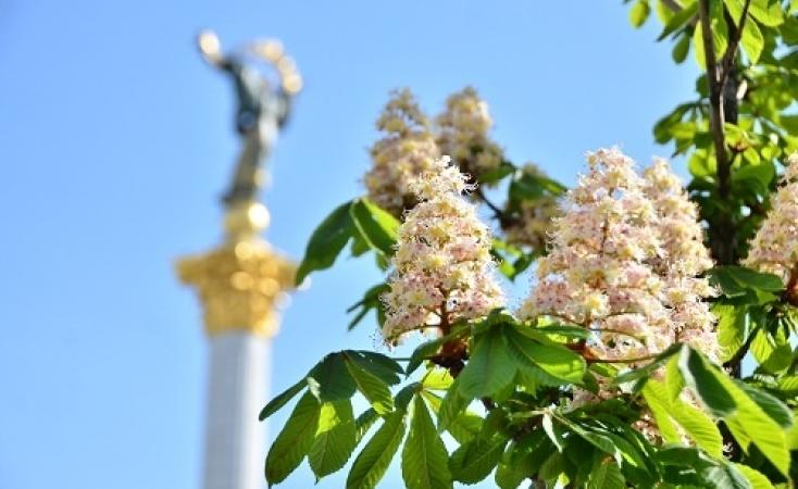 Погода в Киеве и Киевской области: 11 мая 2018