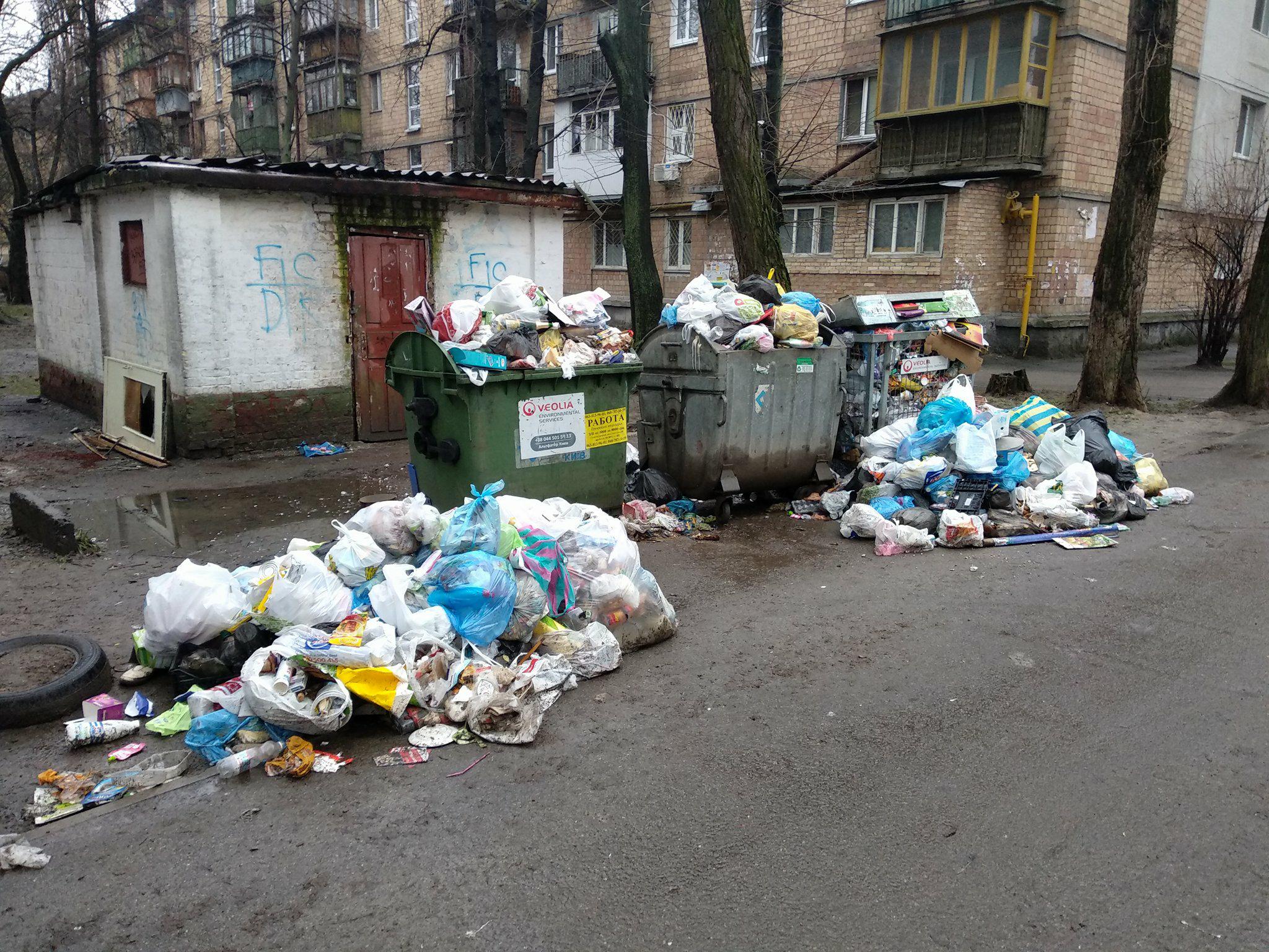 С начала апреля в Киеве вручено 1844 предписания за неубранный мусор