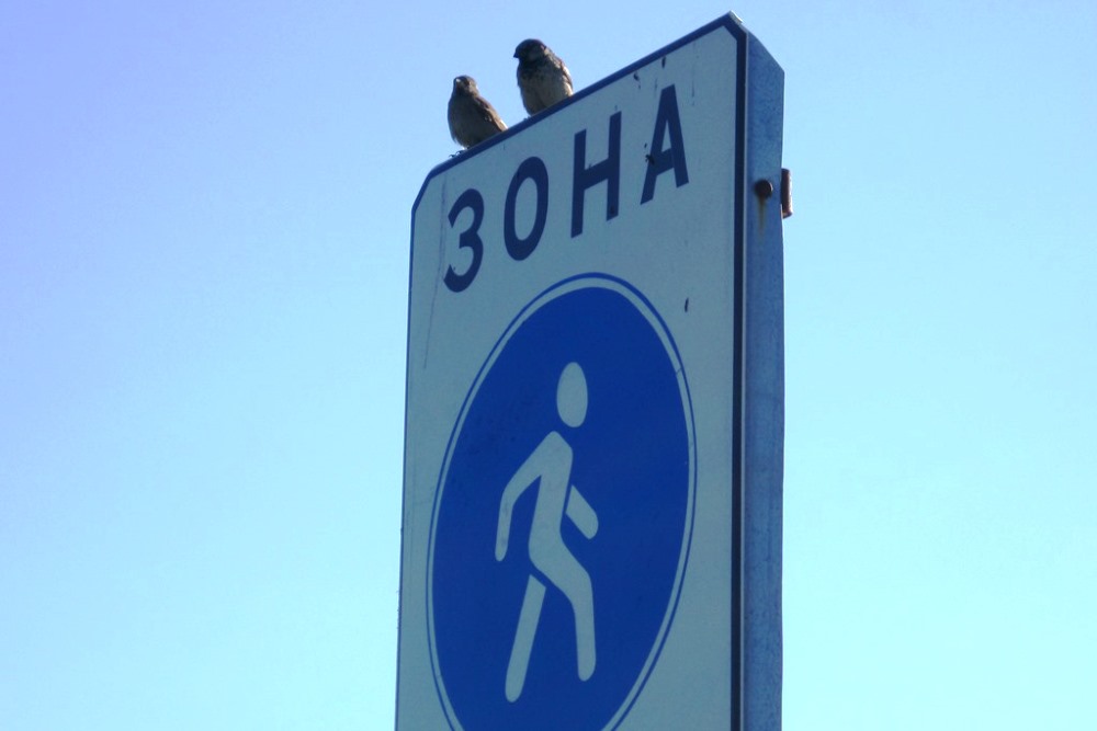 Главу Дарницкого района просят угомонить автохамов, которые объезжают пробки по пешеходной зоне