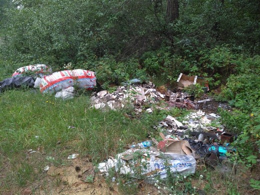 Дарницкий лес превращен в многочисленные свалки мусора (фото)
