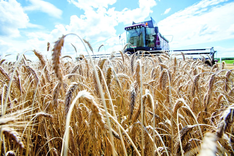В 2018 году Киевщина улучшит показатели урожайности - эксперт