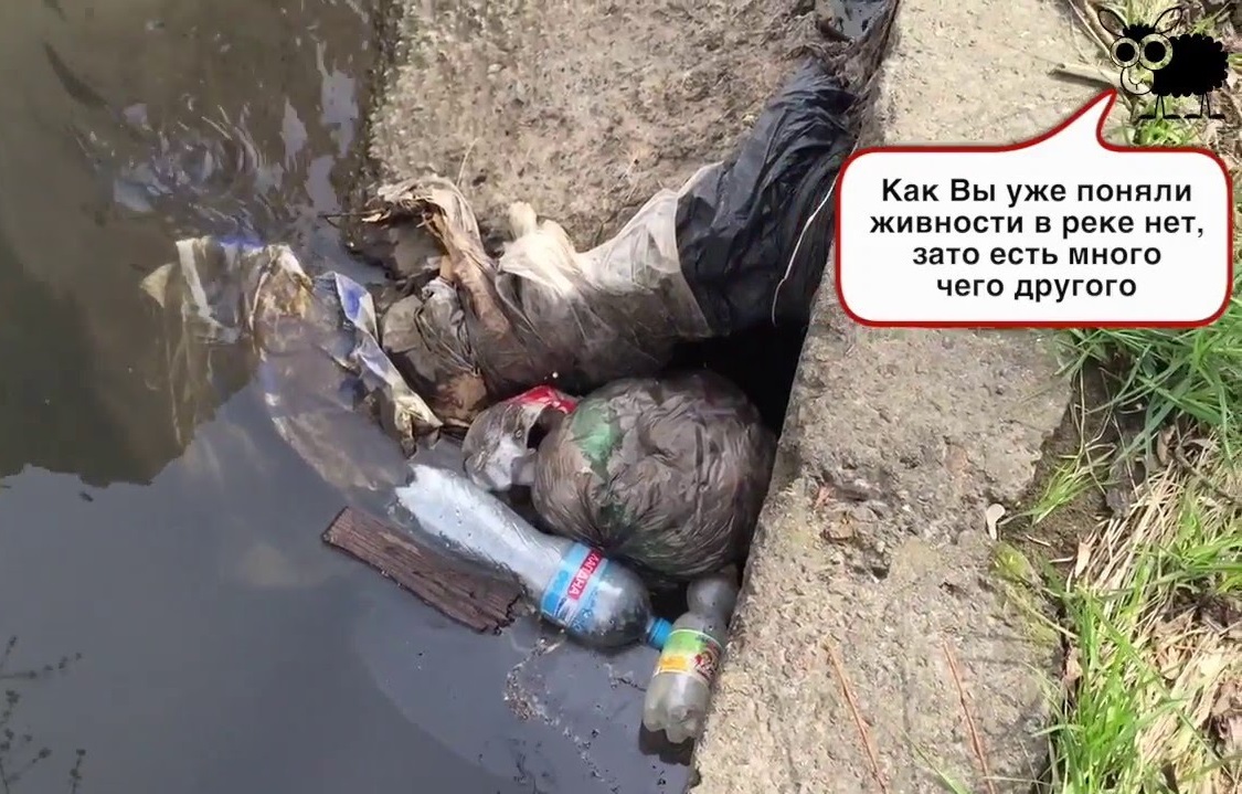 Полиция расследует дело о сливе медицинских отходов в реку Лыбидь
