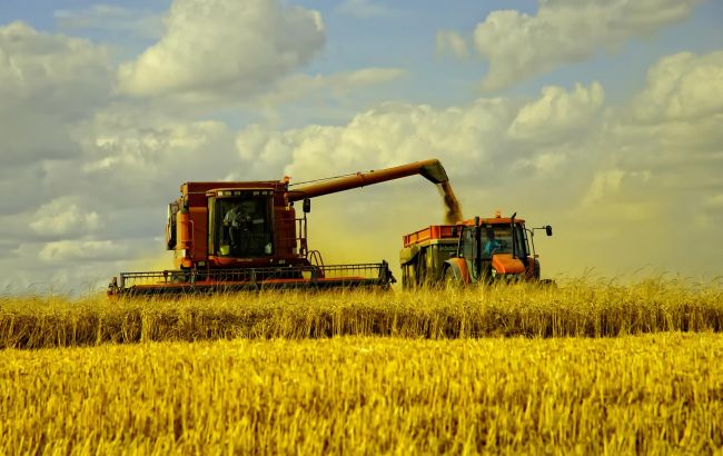 На Киевщине убрано более 90% яровых зерновых и зернобобовых