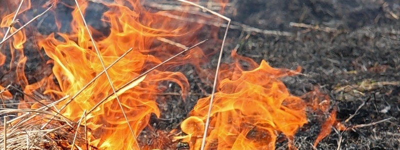 Киевлян предупреждают о высоком уровне пожароопасности